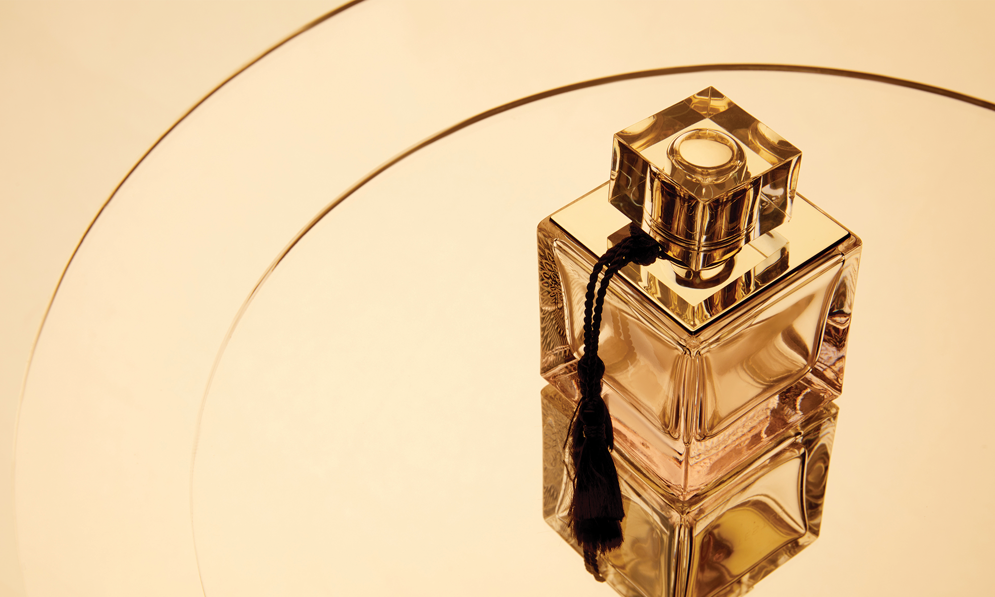 What Makes a Fragrance Feel Expensive? (Hint: It’s Not Just the Price)