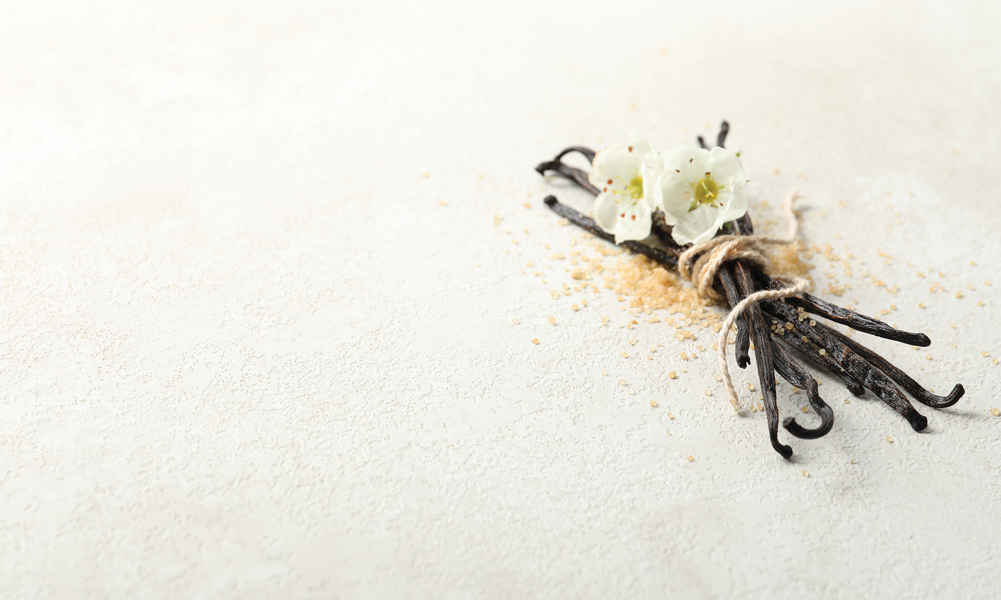 Vanilla, But Grown-Up: Why This Isn’t a Basic Sweet Scent
