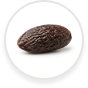 Tonka Bean