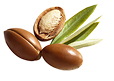 Argan Kernel oil