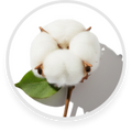 Cotton Flower