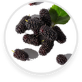 Mulberry